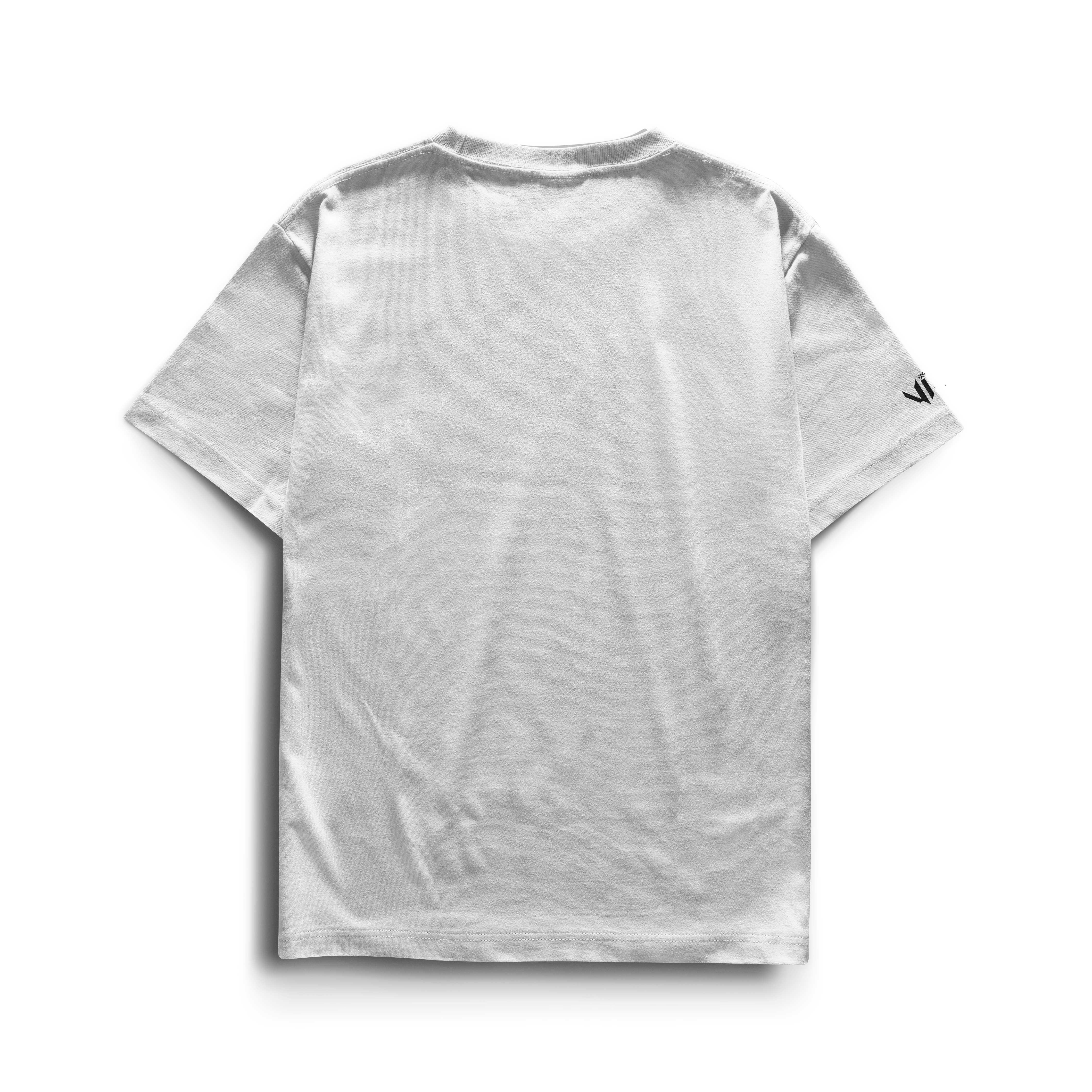 Camiseta R34 Godzilla Kidz